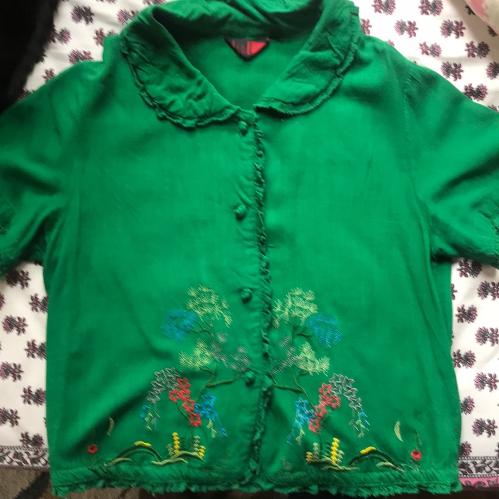 Beautiful Embroidered Asian Blouse